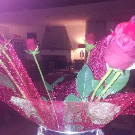 Hotel Restaurant Henri Iv *