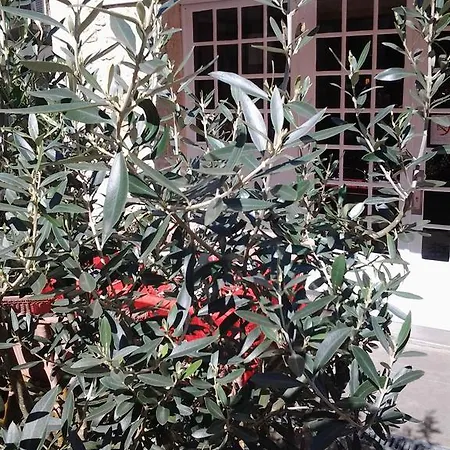 Restaurant Henri Iv Ξενοδοχείο Eauze