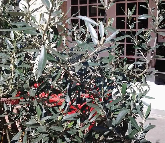 Restaurant Henri Iv Hotell Eauze